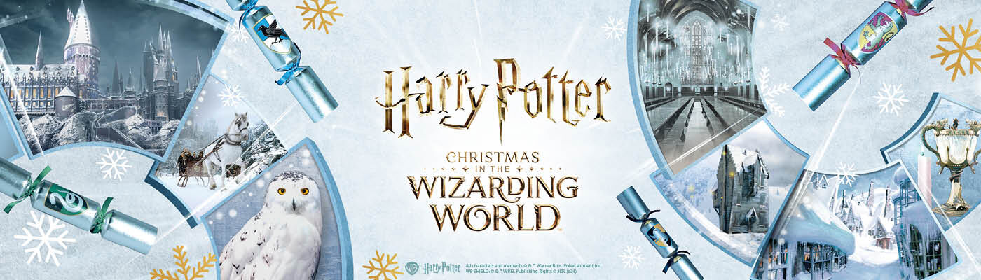 Christmas in the Wizarding World / Découvrir !