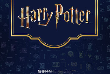 Libère le sorcier en toi et plonge dans le monde envoûtant d'Harry Potter ! / Découvrir !