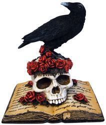 Heartaches Reflection - Crow on Skull, Nemesis Now, beeld