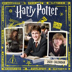 Verrassend Harry Potter afbeeldingen | Breng Hogwarts naar jouw woonkamer | LARGE ZC-29