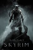 V - Skyrim - Dragonborn, The Elder Scrolls, Poster