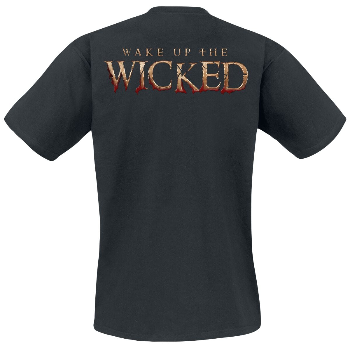 Powerwolf Call Of The Wild Sweat-Shirt à Capuche Homme Noir - Hoodie Officiel Groupe Métal Regular Fit