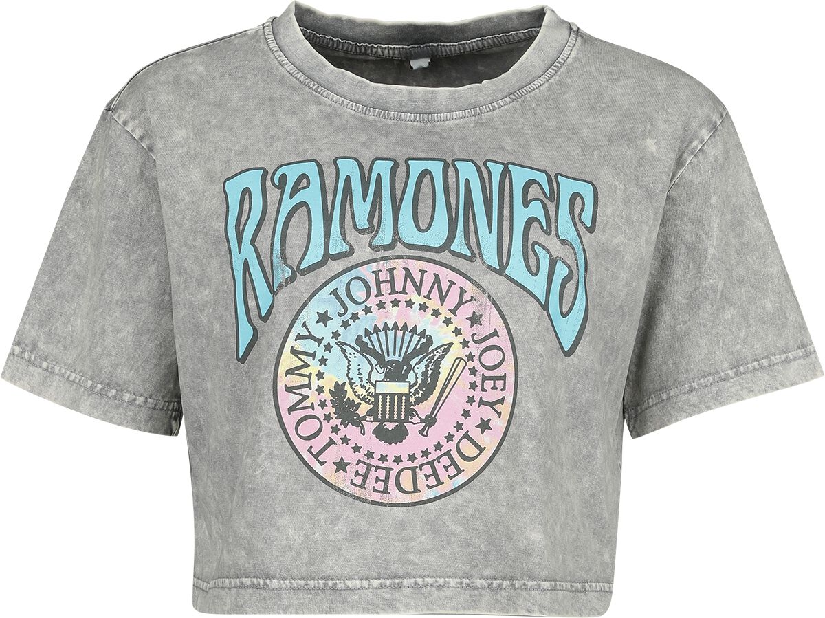 Sweat à capuche - Ramones - Gris