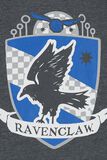 Ravenclaw Quidditch