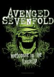 Welcome To The Family, Avenged Sevenfold, Drapeau