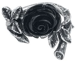 Wild Black Rose Ring, Alchemy Gothic, Ring