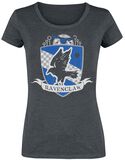 Ravenclaw Quidditch