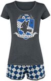 Ravenclaw Quidditch
