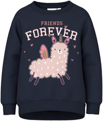 Venus LS Sweater - Friends Forever, name it, Sweatshirt