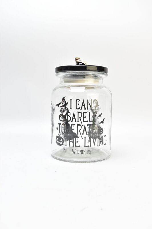 I Can Barely Tolerate The Living voorraadpot Wednesday Bewaardoos