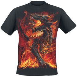 Draconis, Spiral, T-Shirt Manches courtes