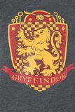 Gryffindor Quidditch