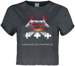 Amplified Collection - Master Of Puppets, Metallica, T-Shirt Manches courtes