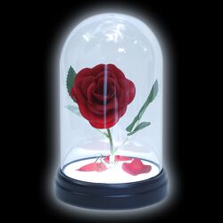 Enchanted Rose, Beauty and the Beast, Lamp