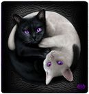 Yin Yang Cats Fleece Blanket, Spiral, Couverture
