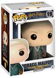 Quidditch Draco Malfoy Vinylfiguur 19, Harry Potter, Funko Pop!