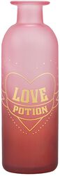 Love Potion - Vase, Harry Potter, Articles De Décoration